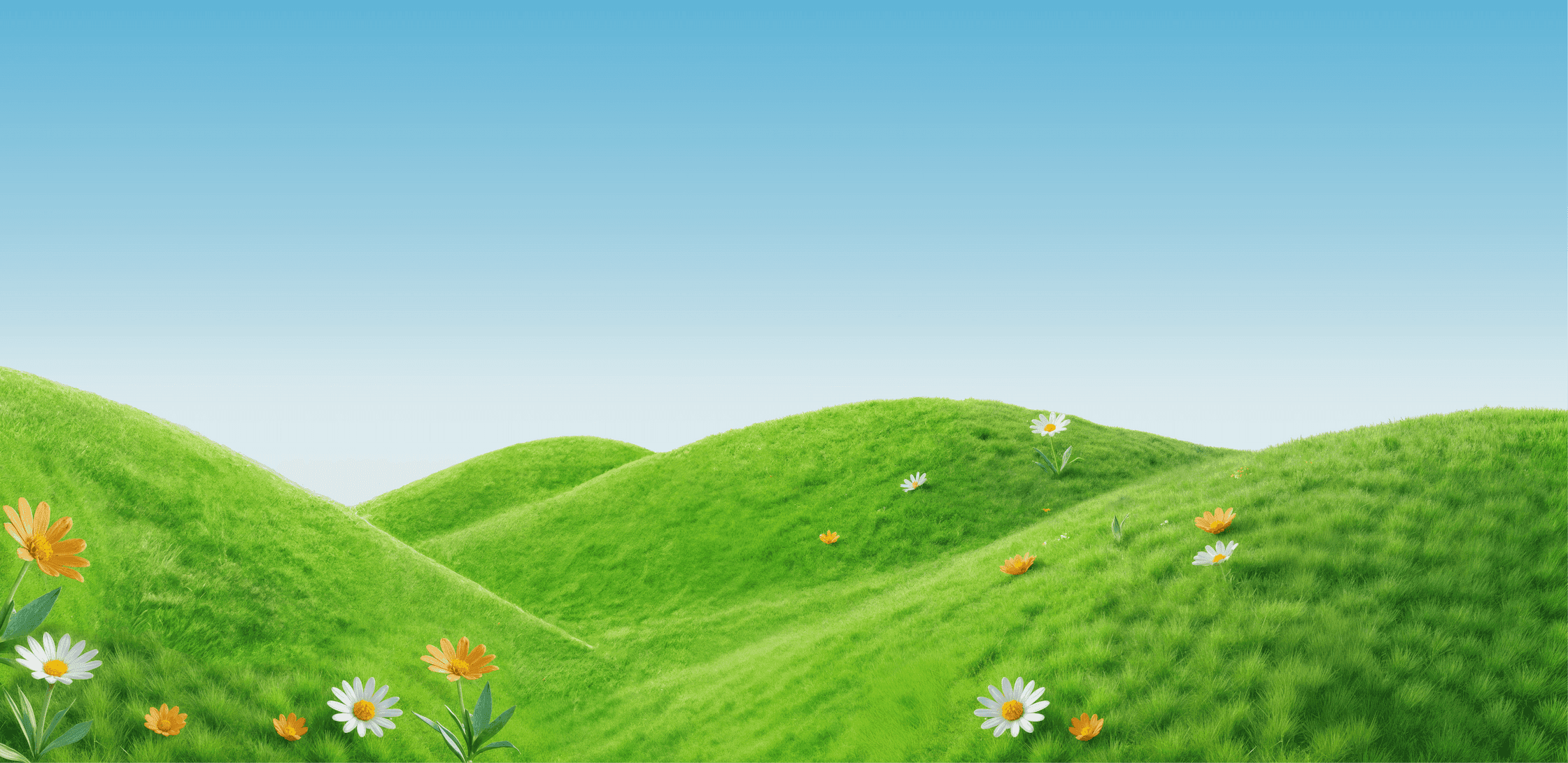 Background Illustration